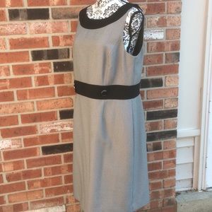 tahari arthur s levine plus size